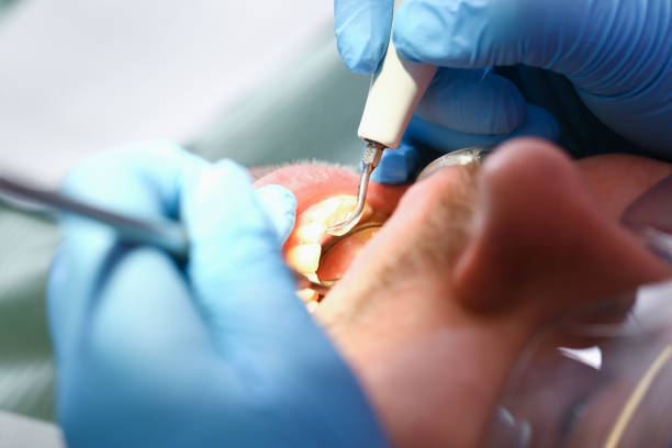 Best Emergency Orthodontic Services in Greenvle, IL