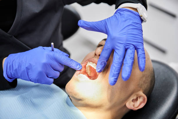 Best Emergency Dental Care for Broken or Chipped Teeth in Greenvle, IL